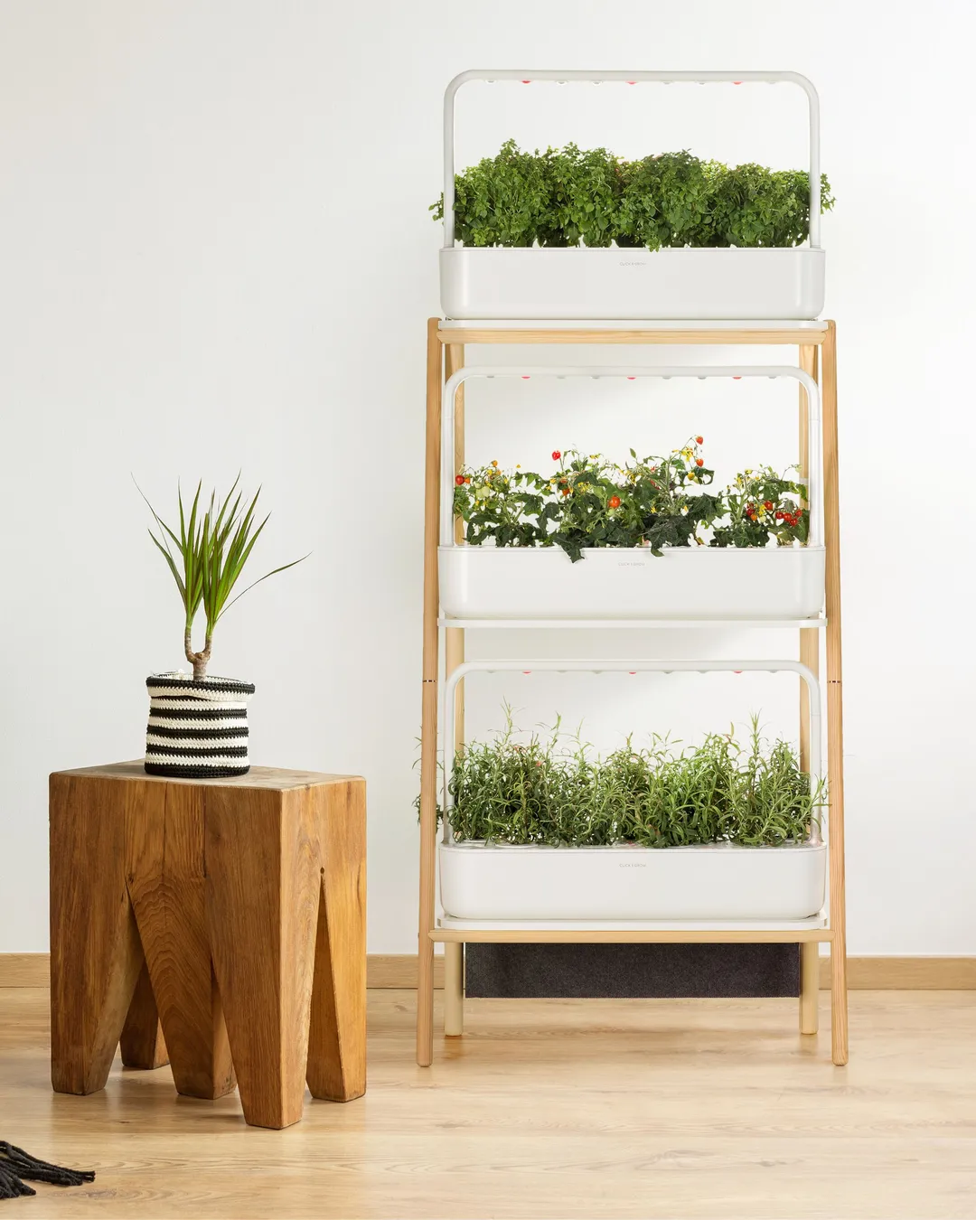 Click & Grow